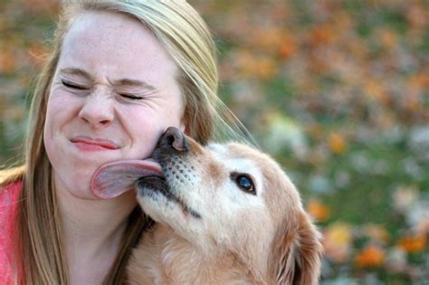 Why Do Dogs Lick Faces And Hands