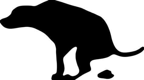 6 monate ist und immer noch gelegentlich im haus sein geschäft macht. Hund kackt in die Wohnung? » Signale richtig deuten ...
