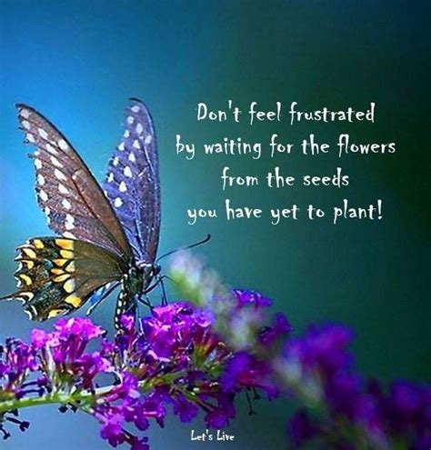 Be careful that you don't try to join in on the feast, as oxford blues can be dangerous if ingested by humans or pets. Twitter (With images) | Butterfly quotes, Positive quotes ...