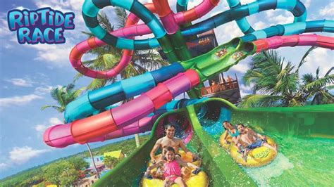 Aquatica Rides Ranked Plus Hours And Tickets