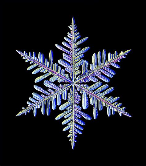 Snowflake Wallpaper Snow Crystal Snowflake