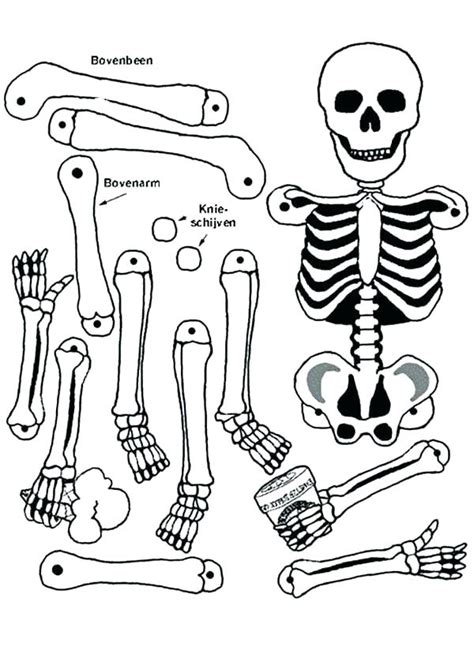 736 x 1023 file type: Human Coloring Pages at GetColorings.com | Free printable ...