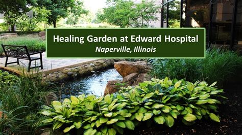 Healing Garden At Edward Hospital Youtube