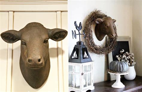 The cow head has a high level of detail in the sculpture and has a small bell around the neck. Yearling Heifer Head | Cow Head Wall Mount | Mounted Cow Head | Cow head decor, Cow head ...