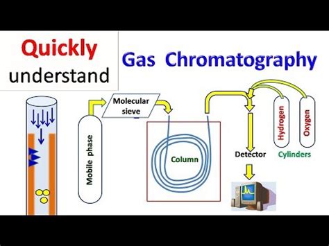 Gas Chromatography How It Works Types Parts Uses Science