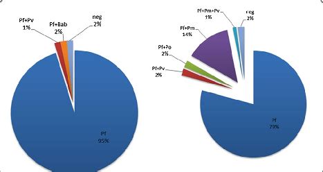 Molecular identification of Plasmodium species present in samples