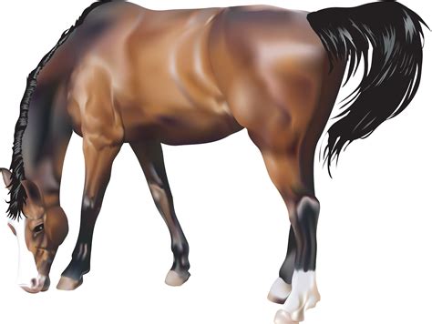 Horse Clip Art Horse Png Image Png Download 760602 Free