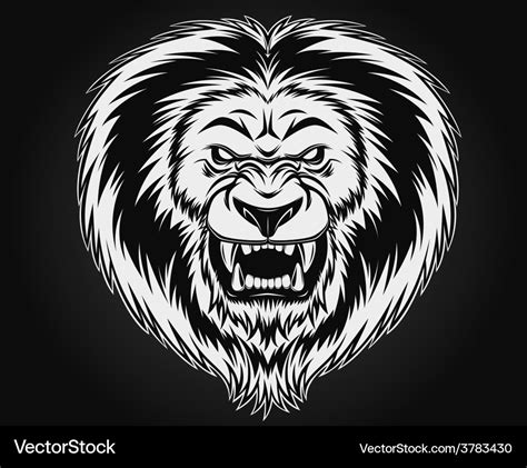 Angry Lion Royalty Free Vector Image Vectorstock