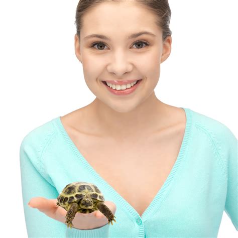 My Turtle Store Juvenile Russian Tortoises For Sale