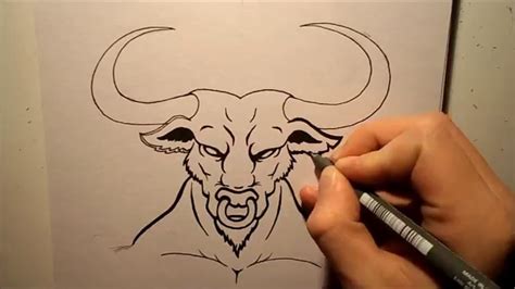How To Draw A Bull Youtube