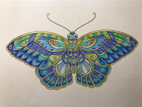 Pin on Color: Johanna Basford