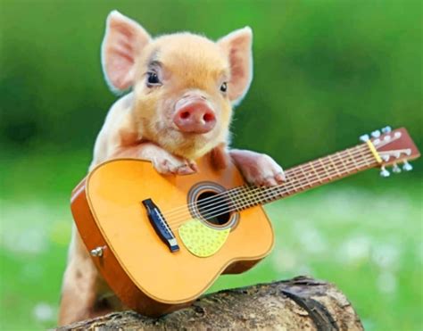 Little Pig With Guitar