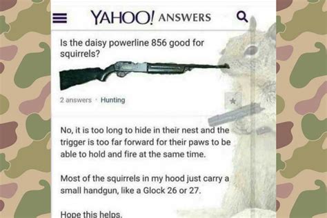 Funny Squirrel Hunting Meme Daisy Powerline 856 For Squirrels