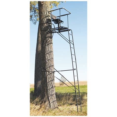 Big Game Infinity 16 Ladder Tree Stand 229430 Ladder Tree Stands At
