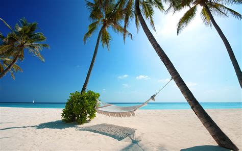 Nature Landscape Hammocks Beach White Sand Palm Trees Sea Blue Sky Maldives Sunlight