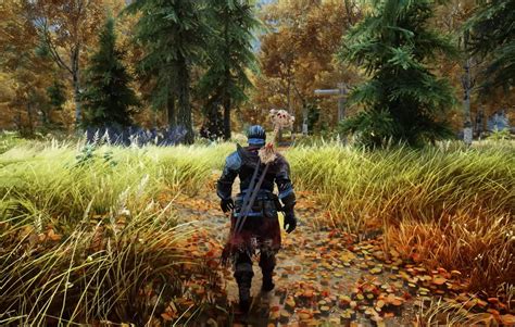 Skyrim Player Shows Off Stunning Gameplay With 500 Mods Enabled
