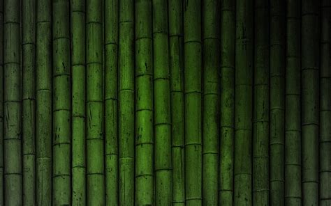 Скачать текстуру в высоком разрешении Бамбук текстура бамбука Bamboo