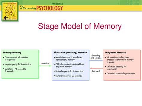 Ppt Chapter 6 Memory Powerpoint Presentation Free Download Id5639891