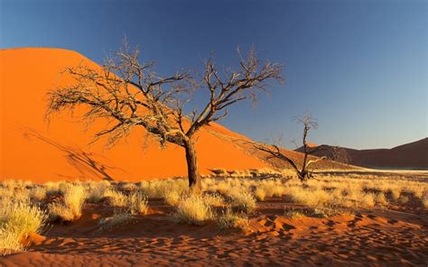 Download Namibia Free Wallpapers Hd Display Pictures Backgrounds Images