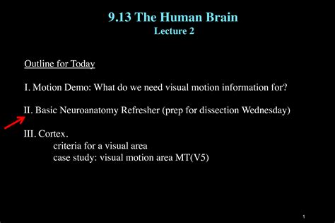 Solution Lectures 2neuroanatomy Studypool