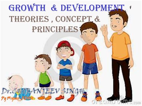 👍 Principles Of Growth What Are The Principles Of Growth And