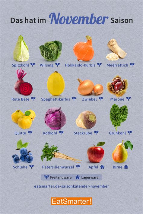 Saisonkalender November Obst And Gemüse Eat Smarter