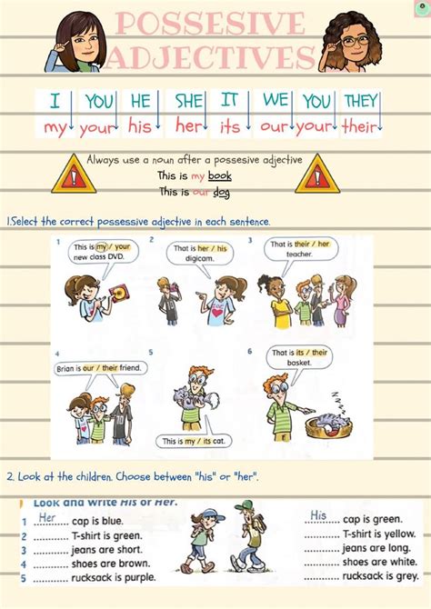 Possessive Adjectives Interactive Exercise For Ep You Can Do The