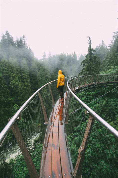 exploring capilano suspension bridge vancouver hand luggage only travel food and photography