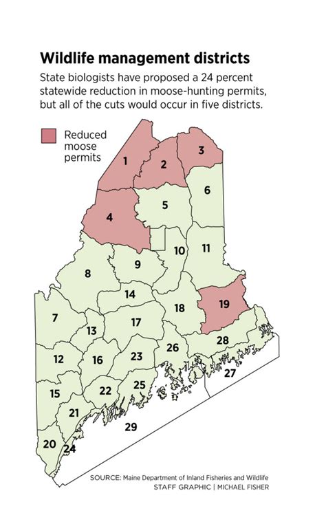 Cut Hunting Permits 24 Percent So Public Sees More Maine
