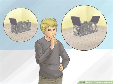 The heroic act took place in the canadian capital ottawa in june. 3 Ways to Catch a Chipmunk - wikiHow