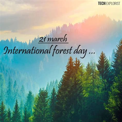 International Day Of Forest March 21 Is The United Nations