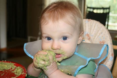 The Copyverse Baby Led Weaning Avocado Mash Face