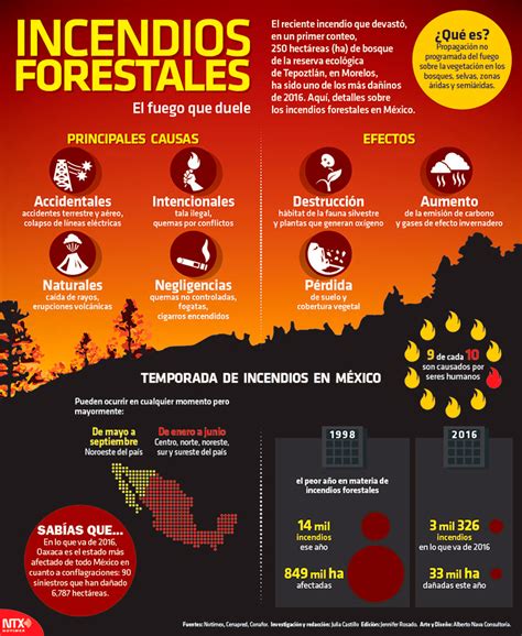 Hoy Tamaulipas Infografía Incendios Forestales