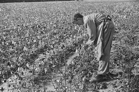 Migrant workers usually do not have the intention to stay permanently in the country or region in which they work. Today in History - November 21 | Library of Congress