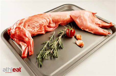Wild Whole Rabbit Speciality Meats Buy Online From Athleat