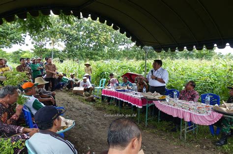 Kementerian pertahanan republik indonesia, disingkat kemhan ri, (dahulu departemen pertahanan republik indonesia, disingkat dephan ri) adalah kementerian dalam pemerintah indonesia yang membidangi urusan pertahanan. Kunjungan Dirjen Holtikultura Kementerian Pertanian RI, 10 ...