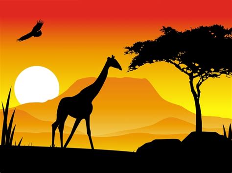 Giraffe Silhouette At Sunset Stock Illustration Illustration Of