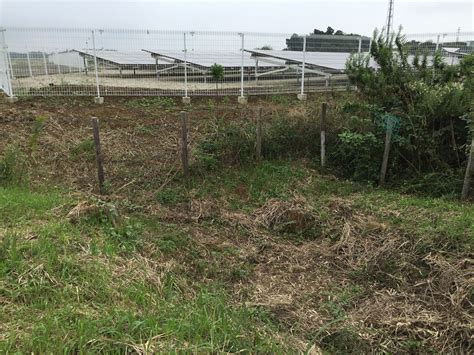 We did not find results for: かまがや散歩: 泉新田大木戸野馬堀遺跡 （印西市・泉）