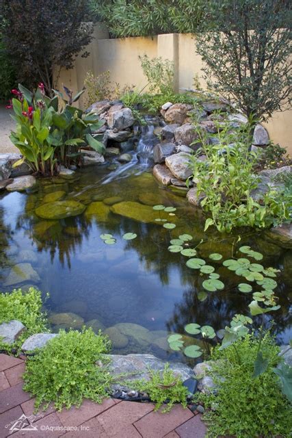 Five Easy Tips For A Clean And Healthy Pond Aquascape Inc