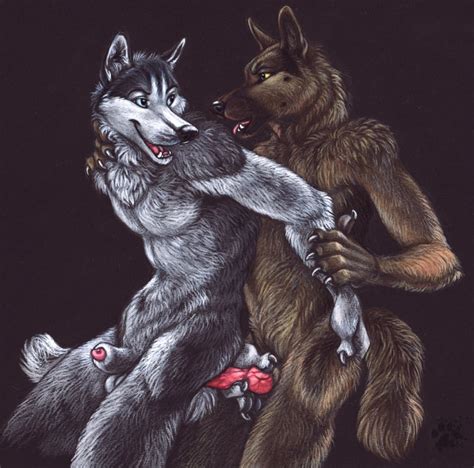 Rule 34 Anal Anal Sex Anthro Blotch Canine Canine Penis Fur Furry