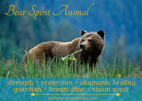 Bear Symbolism And Bear Meaning Bear Spirit Animal And Totem Medicine