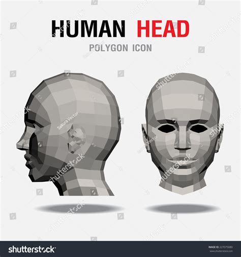 Human Polygon Heads Vector 스톡 벡터로열티 프리 227075080 Shutterstock