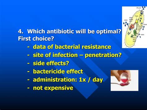 Ppt Principles Of Antibiotic Therapy In Paediatrics Powerpoint