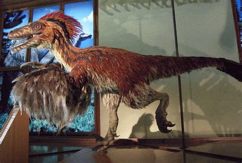 Dinosaurs With Feathers The Trek From Theropods To Modern Birds My