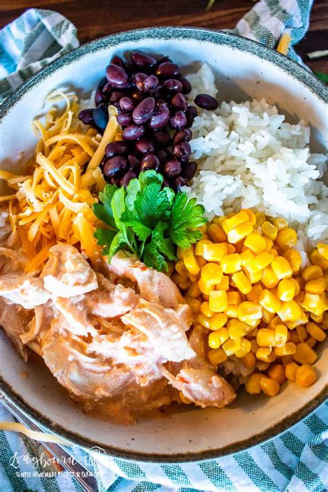 Pour over chicken and put your instant pot lid on and seal. Instant Pot Mexican Chicken and Rice • Longbourn Farm