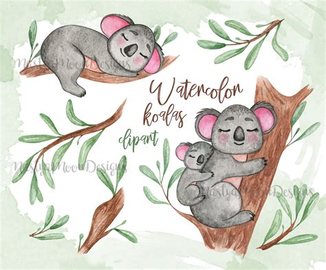 Koala Watercolor Clipart Australia Cute Little Animals Etsy
