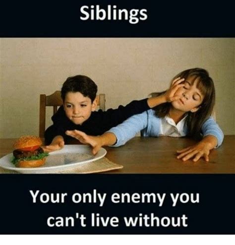 37 Sibling Memes That Prove They Can Be So Annoying Funny Quotes