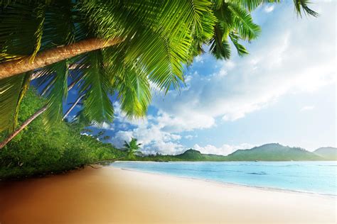 tropical paradise desktop wallpapers top free tropical paradise desktop backgrounds