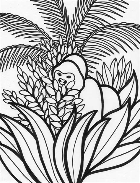 Gorilla Rainforest Animal Coloring Page Download And Print