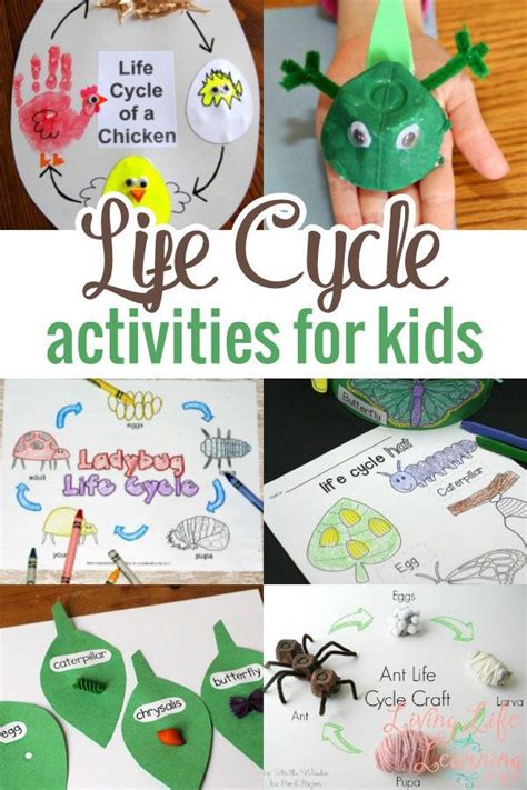Life Cycle Activities For Kids Kids Learning Activities Life Cycles
